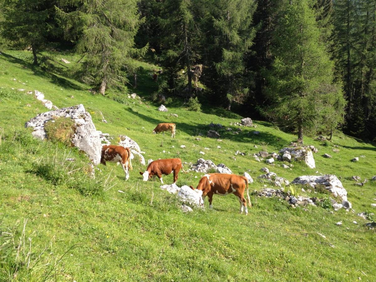 Casa Al Moro Lejlighed Rocca Pietore Eksteriør billede
